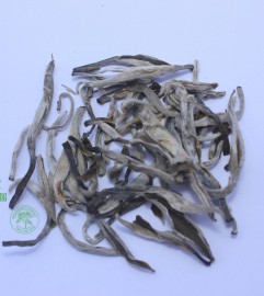Bạch trà Shan Tuyết