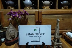 Tiêu chuẩn chè Shan – Phong vị núi rừng Việt Nam